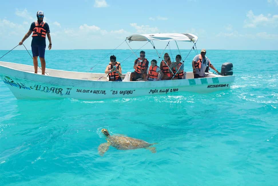 afbeelding n.3 van Tulum: SIAN KAAN biosfeer rondvaart, dolfijnen, snorkelen activiteit in Coba Stad, geüpload door aanbieder