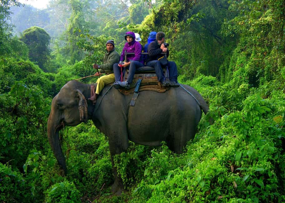 image n.26 of From Kathmandu/Pokhara: 3 Day All-Inclusive Chitwan Safari activity in Pashchimanchal, Western Region, uploaded by supplier