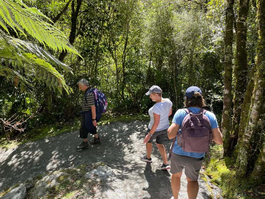 image n.9 of Franz Josef: Franz Josef Glacier Lookout Guided Walk activity in Franz Josef Town, uploaded by supplier