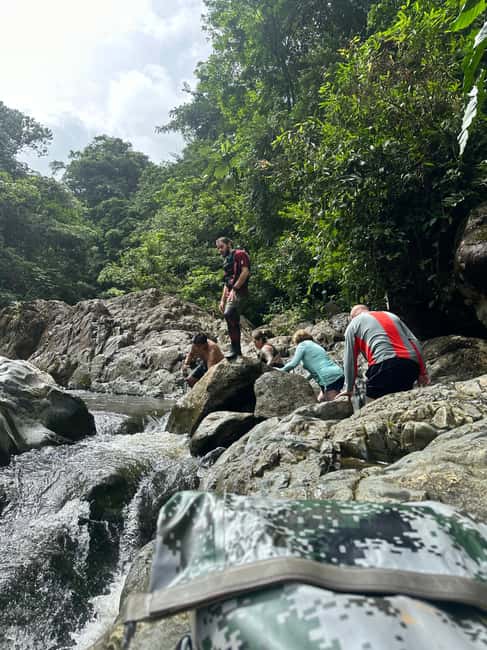 billede nr.12 af aktiviteten Fajardo: Guidet eventyr i El Yunque-skoven i Río Grande, Puerto Rico, uploadet af udbyder