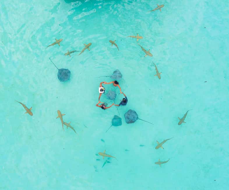 image n.2 of Moorea: 6 H Private Boat Tour with Snorkeling and Lunch activity in Tiahura, uploaded by supplier