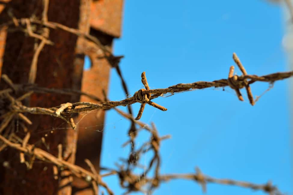 Immagine nº 4 di Da Varsavia: Tour di Auschwitz-Birkenau in auto attività a Oswiecim, caricata dal fornitore