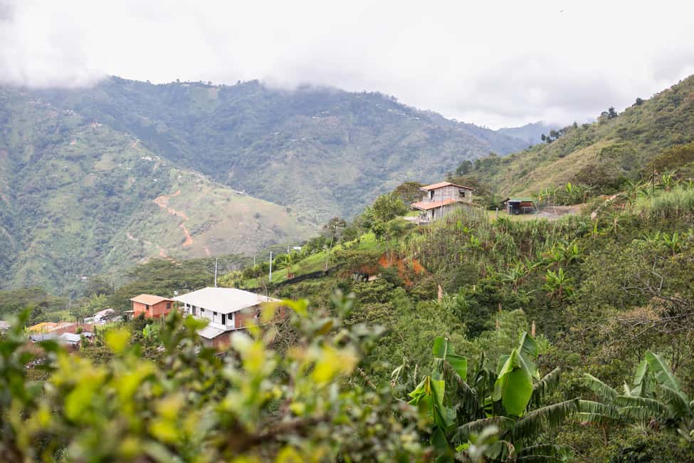 imagem n.78 de Medellín: Tour do café, chegada a cavalo e cana-de-açúcar atividade em Medellín, carregada pelo fornecedor