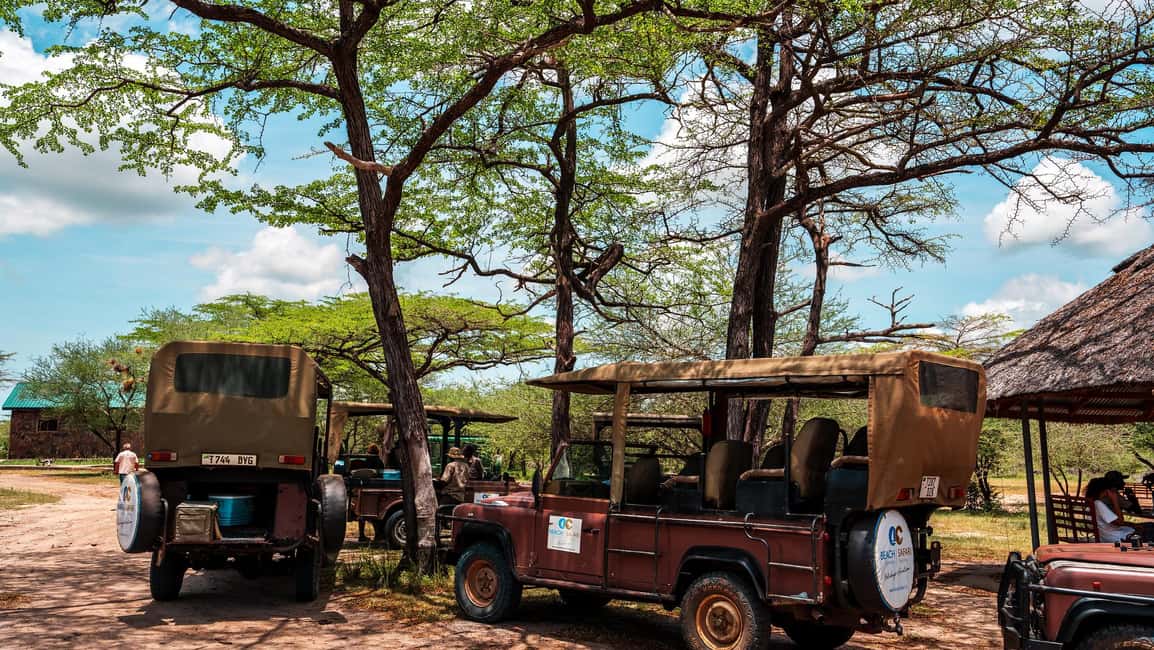 image n.40 of From Zanzibar: Day Selous Game Reserve Safari with Flights activity in Morogoro Region, uploaded by supplier