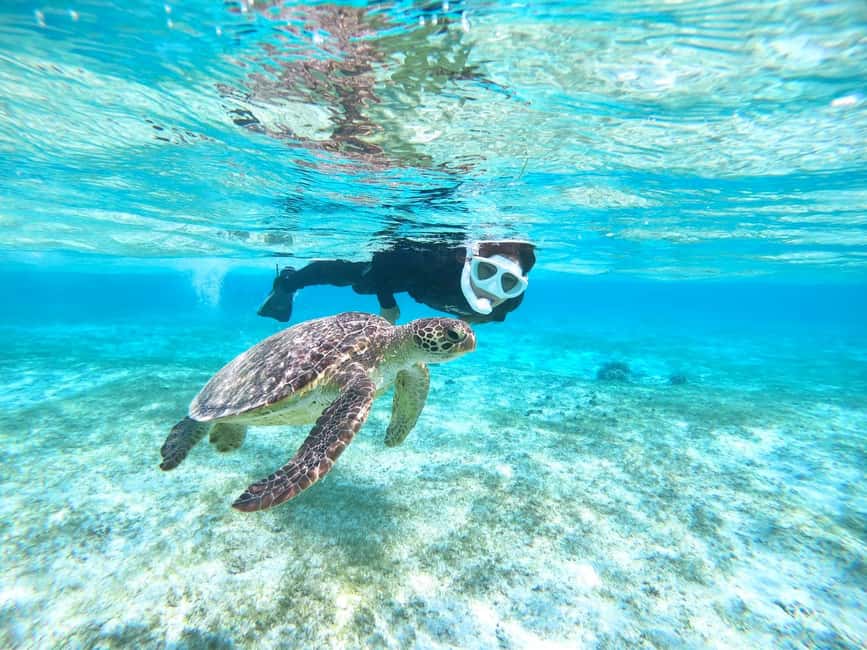 image n.8 of Miyako island: Pumpkin Limestone Caving & Snorkeling activity in Miyakojima, uploaded by supplier