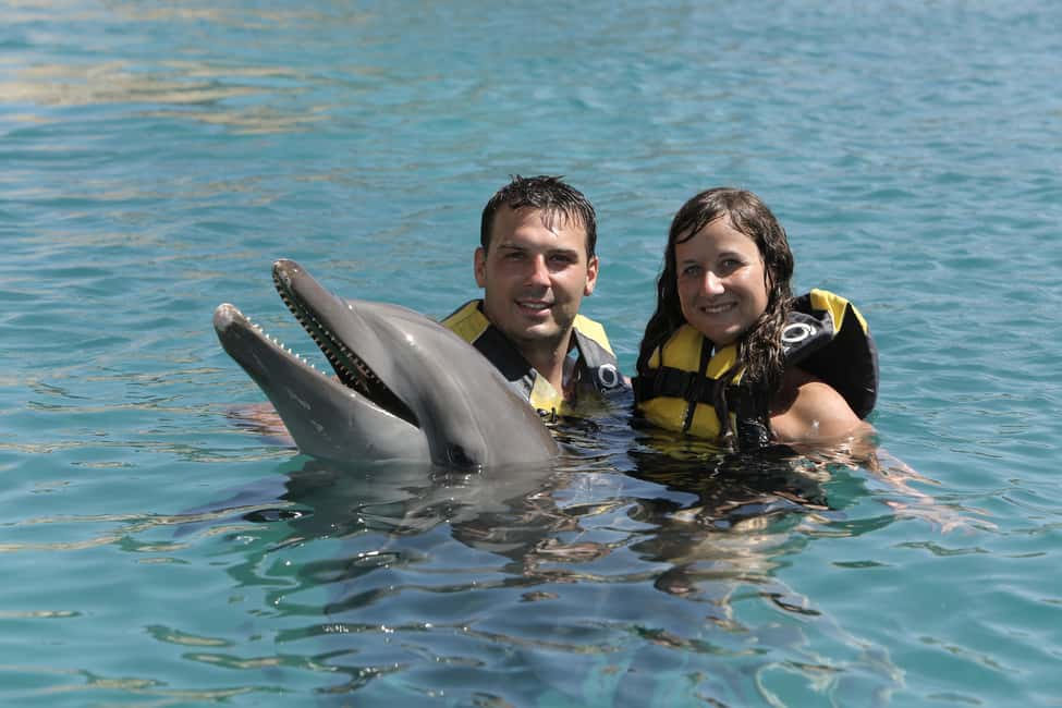 image n.4 of Puerto Plata Ocean World Dolphin Swim activity in Puerto Plata, uploaded by supplier