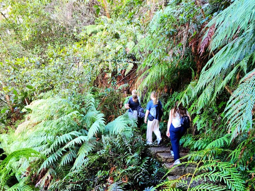 image n.14 of From Sydney: Blue Mountains Tour with Waterfall Walk & Lunch activity in Wentworth Falls, uploaded by supplier