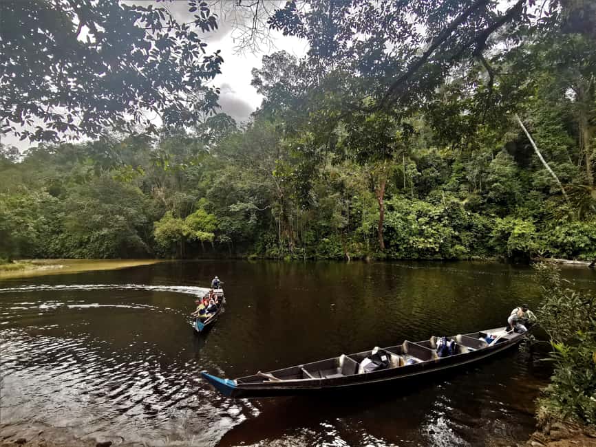 image n.8 of Taman Negara Rainforest Tour with Lata Berkoh Falls activity in Kuala Lumpur, uploaded by supplier