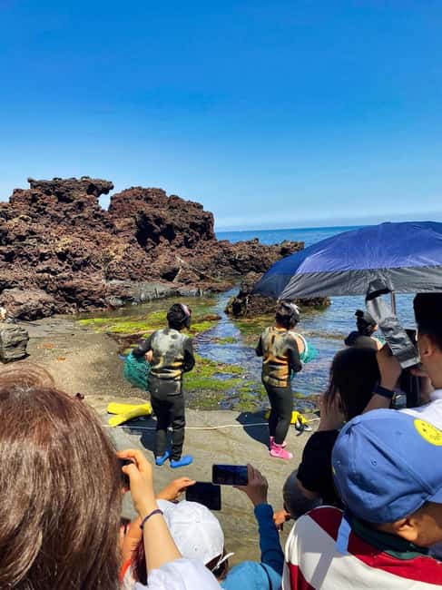 image n.2 of Jeju: customized shore excursions for up to 7 people activity in Seogwipo-si, uploaded by supplier