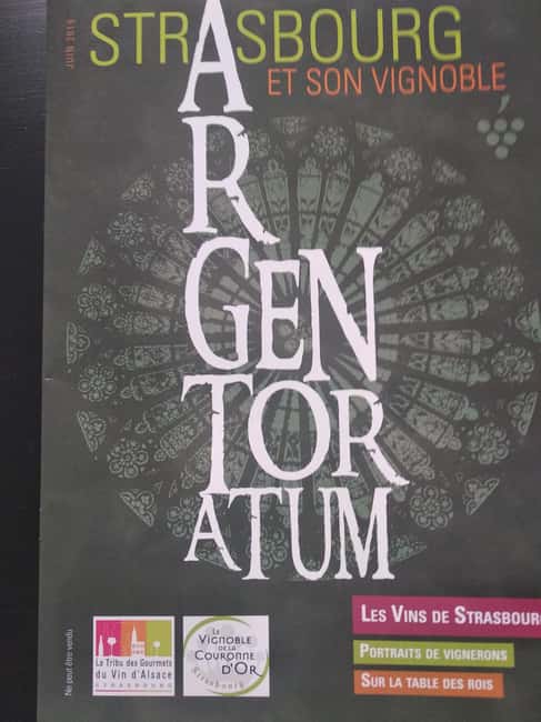 imagem n.3 de Visita à rota dos vinhos da Alsácia atividade em Estrasburgo, carregada pelo fornecedor
