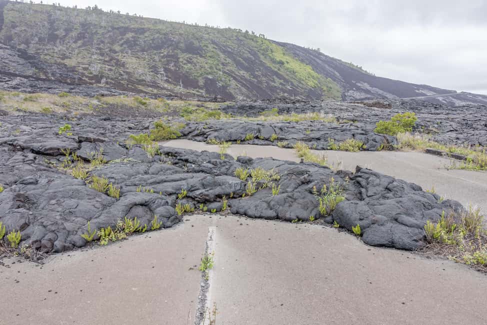 Immagine nº 9 di Hawaii: tour privato all-inclusive dei vulcani e delle cascate attività a Hilo, caricata dal fornitore