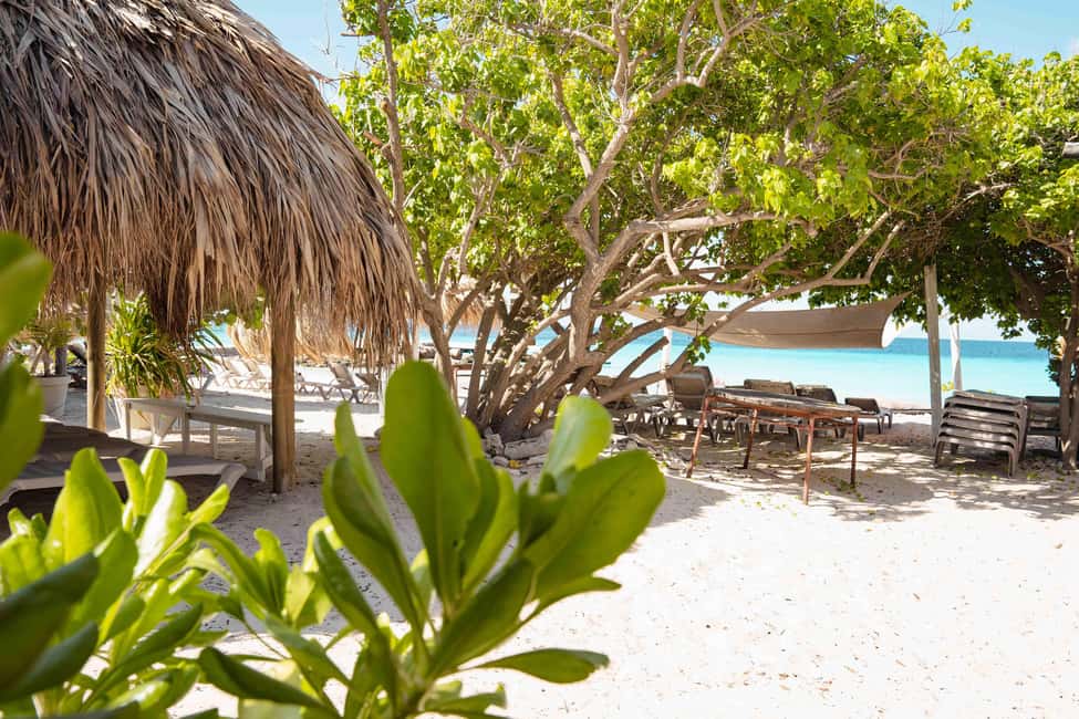 afbeelding n.4 van Curaçao: Klein Curaçao-jachttocht met toegang tot strandhuis activiteit in Curaçao, geüpload door aanbieder