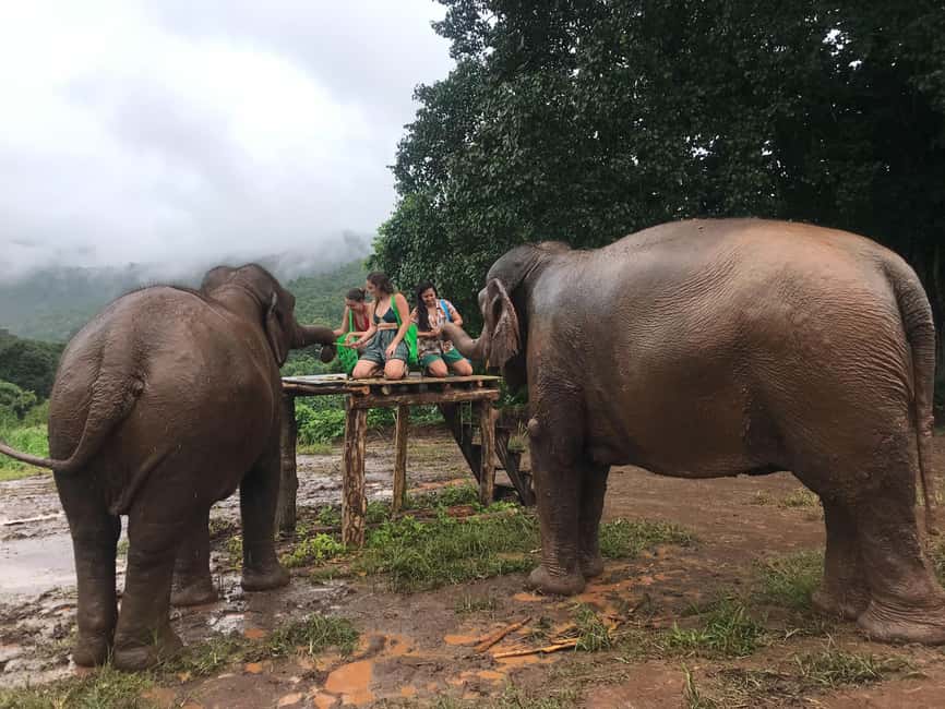 image n.8 of Chiang Mai: Elephant Sanctuary & Waterfall Group Tour activity in Chiang Mai, uploaded by supplier