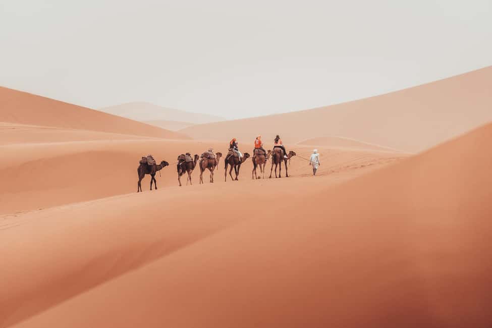 Image N°6 de Au départ de Marrakech : circuit majestueux de 3 jours dans le désert de Merzouga jusqu'à Fès activité à Aït-ben-Haddou, publiée par le prestataire