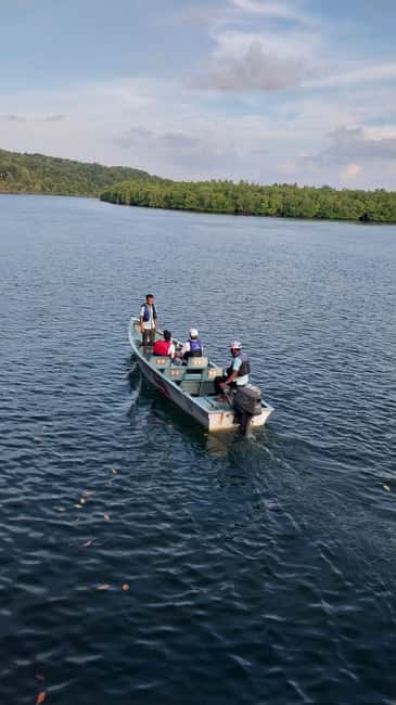 image n.3 of Bintan Tour Mangrove or Fireflies activity in Riau Islands, uploaded by supplier