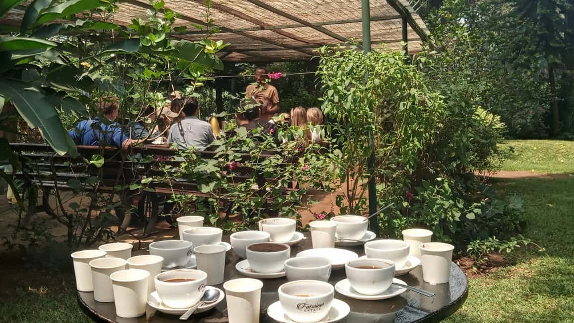 image n.38 of Coffee Farm Tour (Fairview) activity in Kiambu, uploaded by supplier