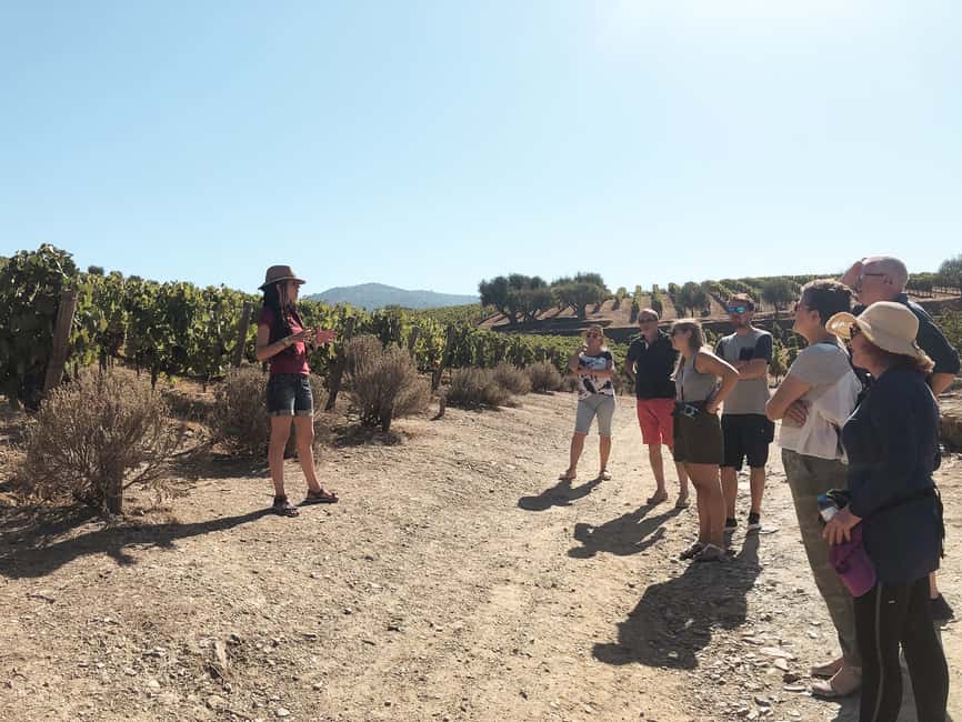 image n.10 of Douro Valley: Real Small-Group, Wine Tasting, Lunch & Boat activity in Norte Region, uploaded by supplier