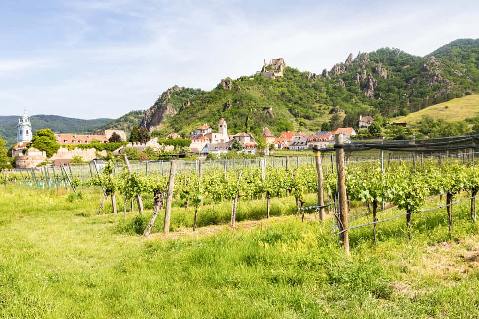 image n.10 of Vienna: Wachau, Melk Abbey, and Danube Valleys Tour activity in Melk, uploaded by supplier