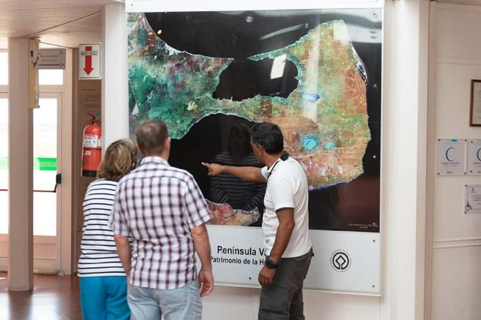 Bild Nr. 7 von Kreuzfahrt Landausflug Peninsula Valdes - Box Lunch inbegriffen Aktivität in Chubut Provinz, hochgeladen vom Anbieter