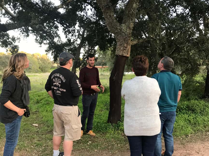 image n.22 of From Albufeira: Full-Day Wine Tasting Tour with a Guide activity in Monchique, uploaded by supplier