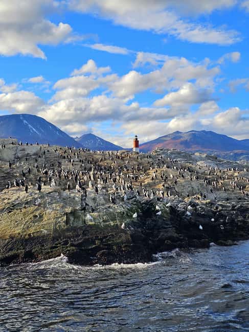 image n.3 of Ushuaia: Beagle Channel and Penguin Island activity in Ushuaia, uploaded by supplier