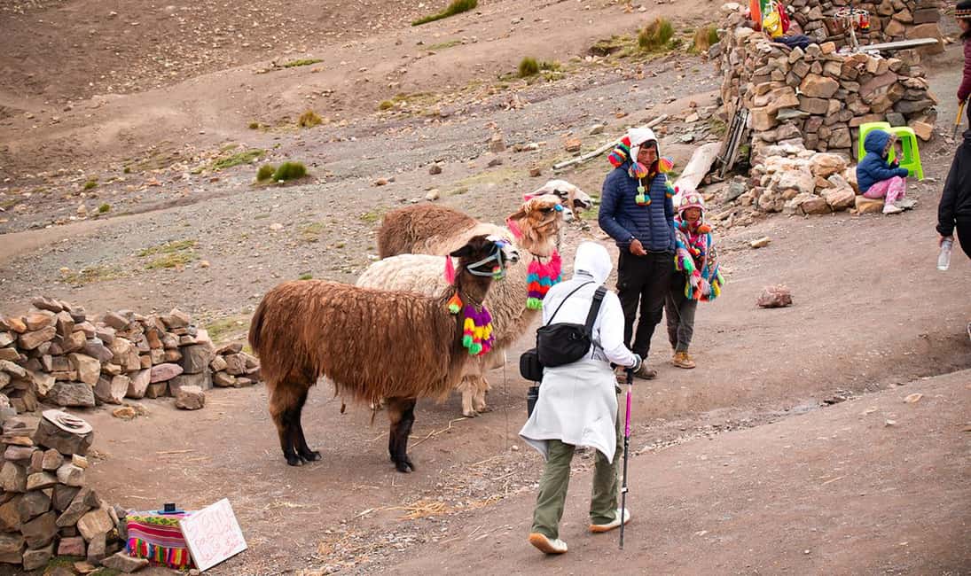 imagem n.33 de Cusco: Tour particular à Montanha Arco-Íris e ao Vale Vermelho atividade em Avanos, carregada pelo fornecedor