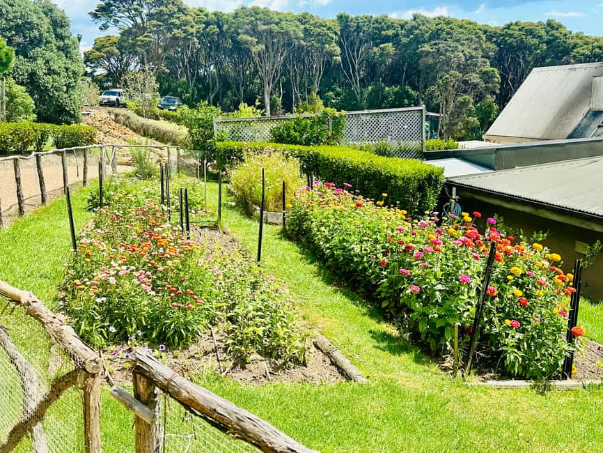 image n.14 of From Auckland: Waiheke Island Wineries' Tour activity in Auckland, uploaded by supplier