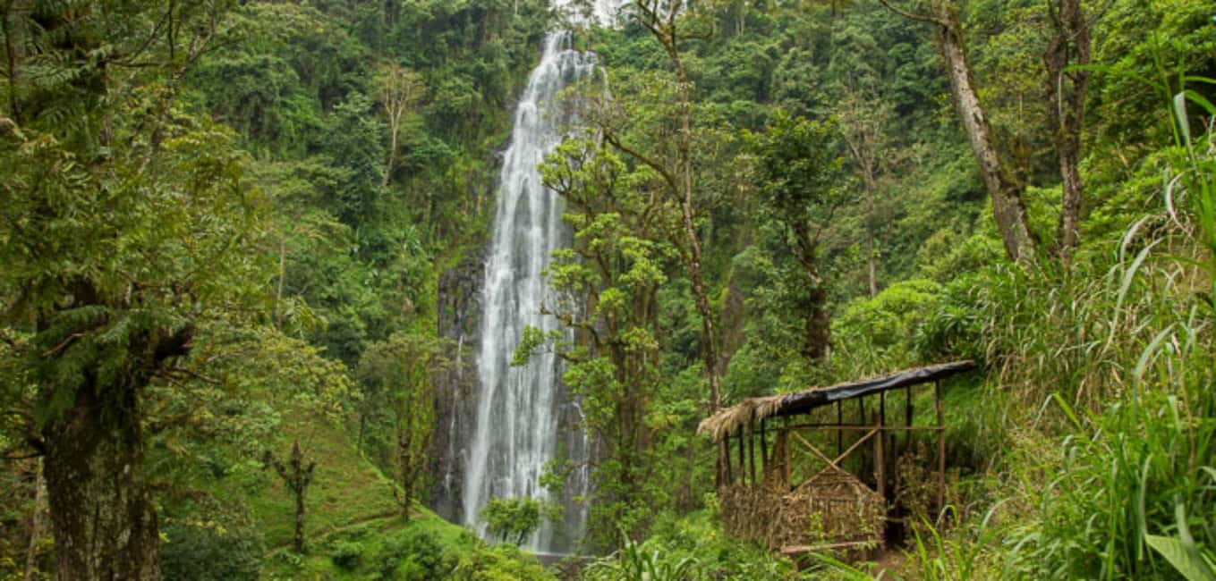 imagen n.º 17 de Kilimanjaro: Paseo por el pueblo, visita al café, cascada y almuerzo actividad en Moshi, subida por el proveedor