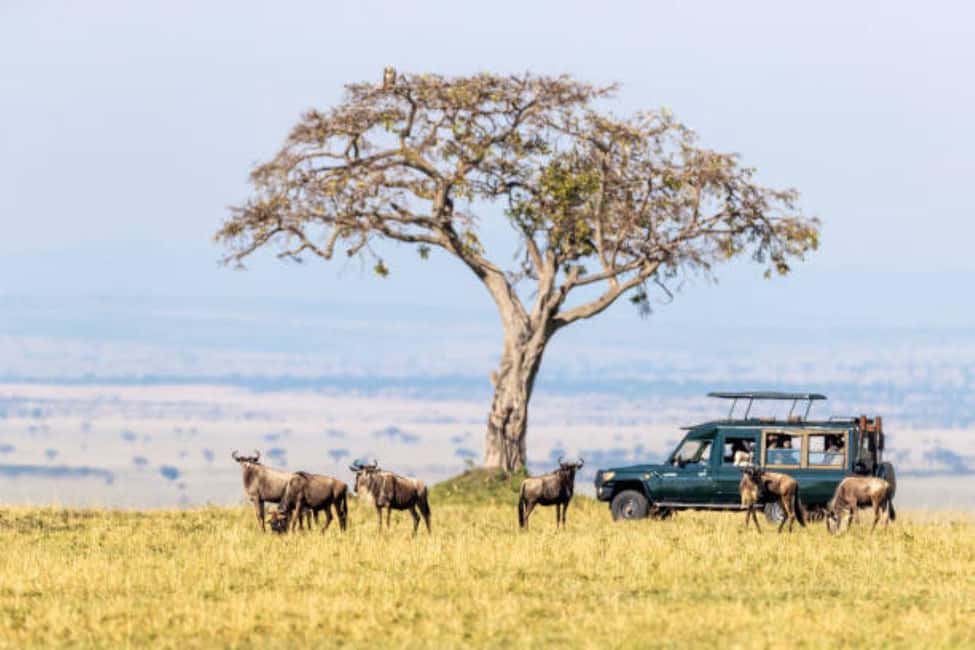 image n.4 of 3Days Group Joining Safari to Maasai Mara from Nairobi activity in Coast Province, uploaded by supplier