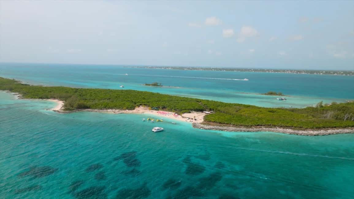 Image N°12 de Nassau : Cochons à la nage, plongée avec tuba et tour en bateau sur la plage activité à New Providence, publiée par le prestataire