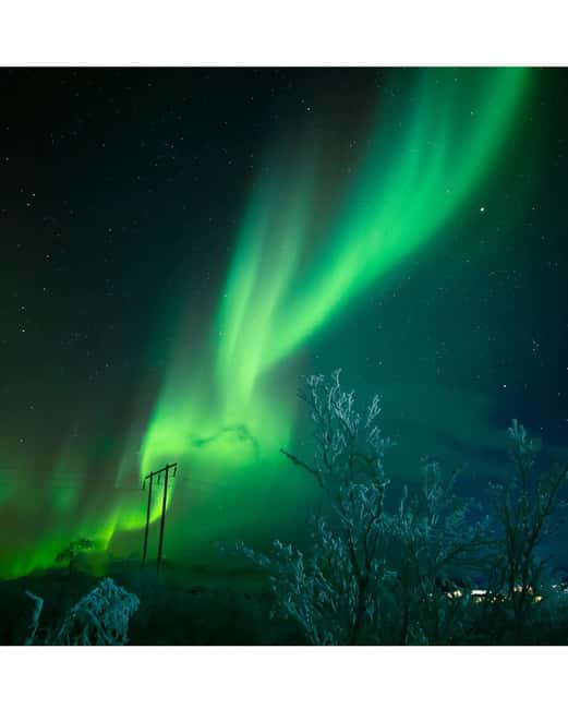 Bild Nr. 4 von Kiruna: Nordlicht-Tour mit Stejk Street Food Dinner Aktivität in Norrbotten, hochgeladen vom Anbieter