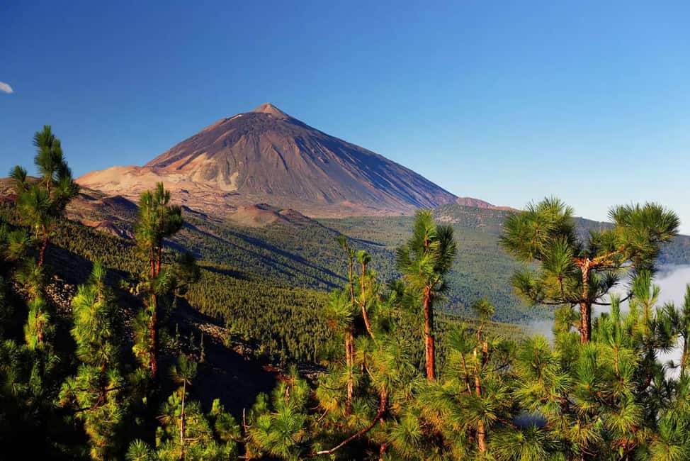 image n.3 of Tenerife: Jet Ski Tour with Optional Quad Trip activity in Canary Islands, uploaded by supplier
