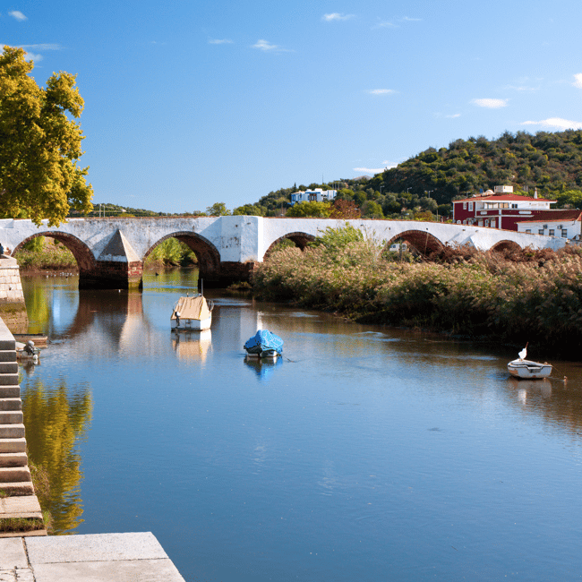 image n.30 of From Albufeira: Full-Day Wine Tasting Tour with a Guide activity in Monchique, uploaded by supplier