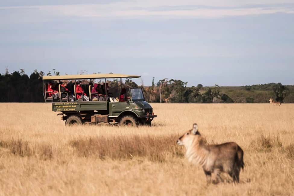 image n.3 of Plettenberg Bay Game Reserve: 2-Hour Game Drive activity in Western Cape, uploaded by supplier