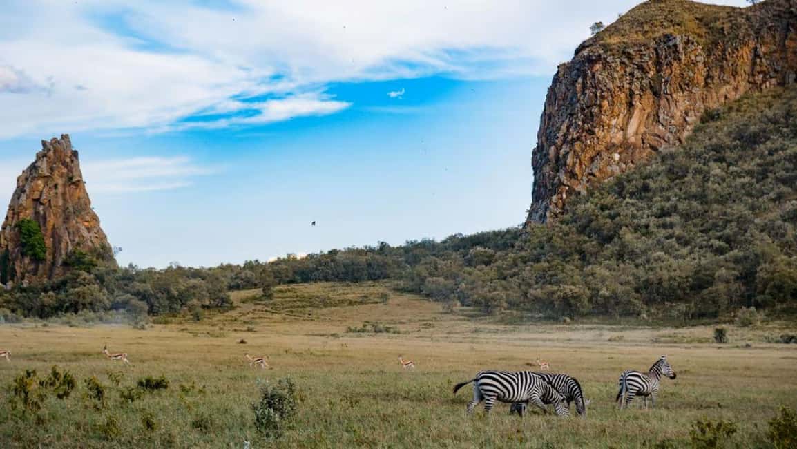 image n.38 of From Nairobi:Full Day Tour to Hell’s Gate National Park activity in Nakuru, uploaded by supplier