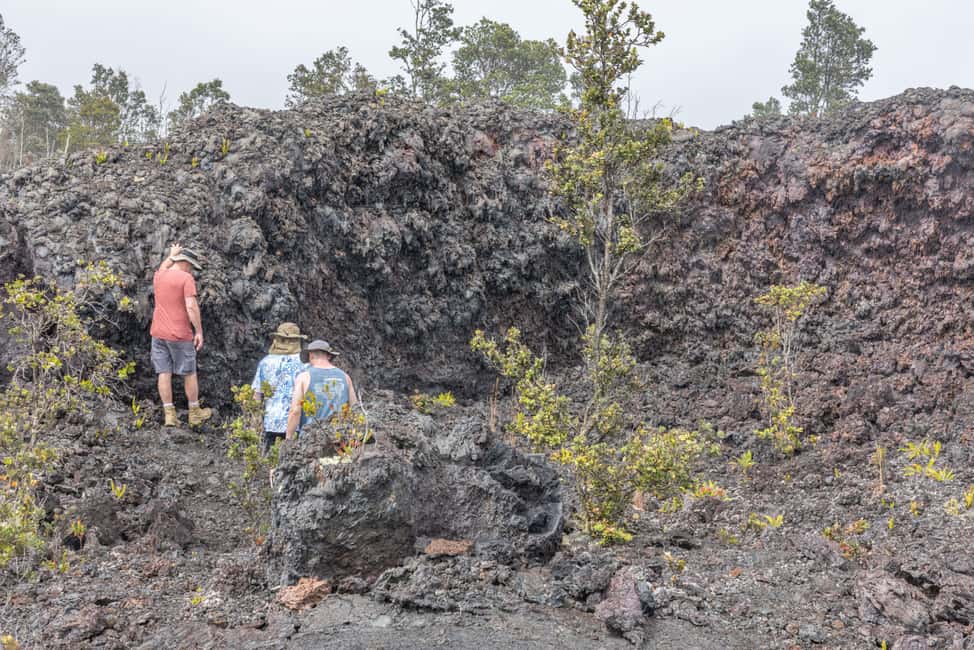 Immagine nº 10 di Hawaii: tour privato all-inclusive dei vulcani e delle cascate attività a Hilo, caricata dal fornitore
