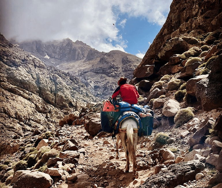 imagen n.º 16 de Desde Marrakech: Excursión de un día a las montañas del Atlas con paseo en camello actividad en Marrakech, subida por el proveedor