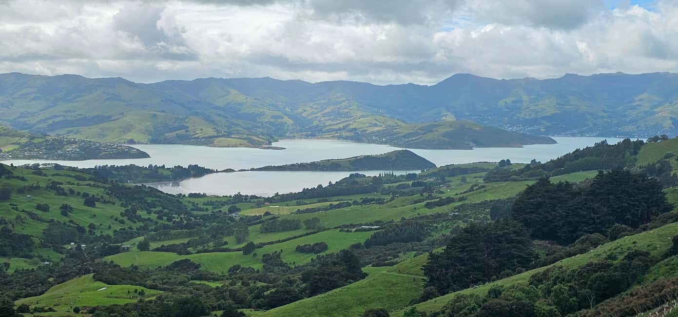 image n.7 of From Christchurch: Akaroa Day Tour with Optional Cruise activity in South Island, uploaded by supplier