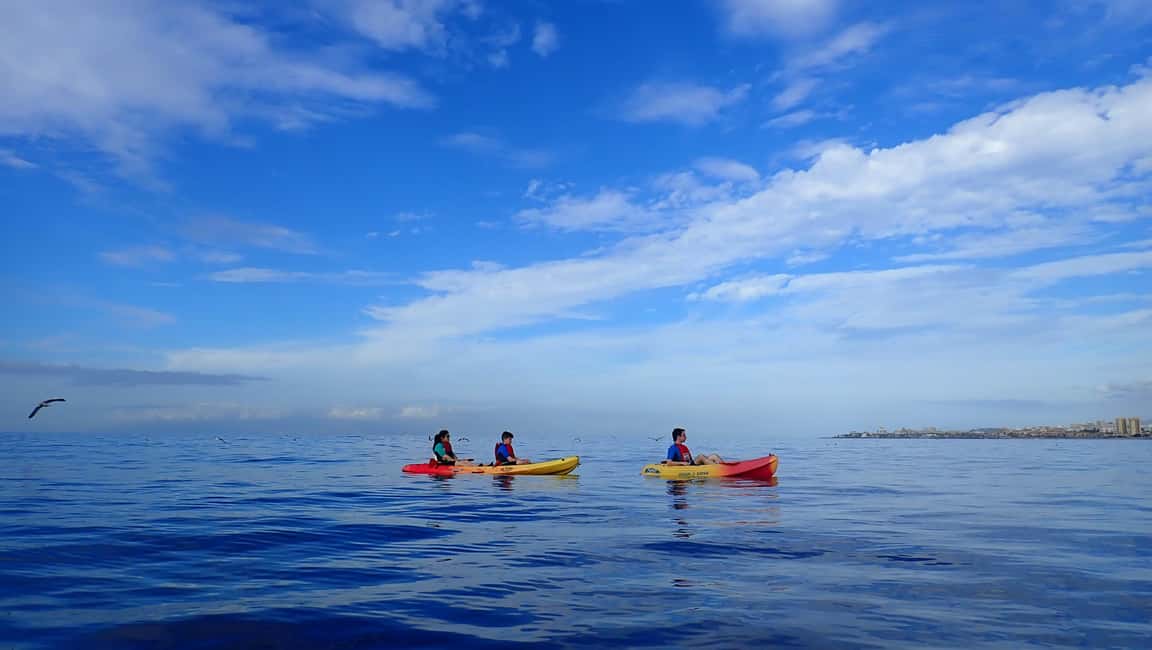 image n.12 of Tenerife: Kayak and Snorkel with Turtles with Free Videos activity in Los Cristianos, uploaded by supplier