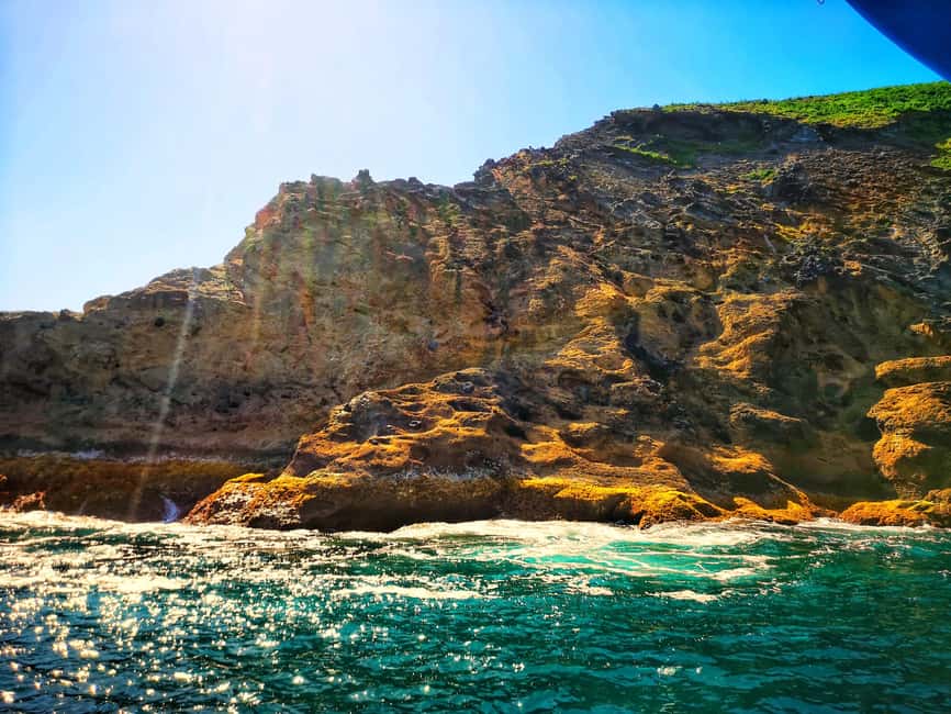 image n.3 of Angra do Heroísmo: Goat Islets Visit activity in Azores, uploaded by supplier