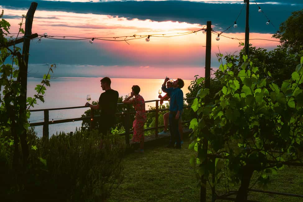 Immagine nº 16 di Trieste: Tour delle origini del Prosecco e degustazioni di 2,5 ore attività a Trieste, caricata dal fornitore