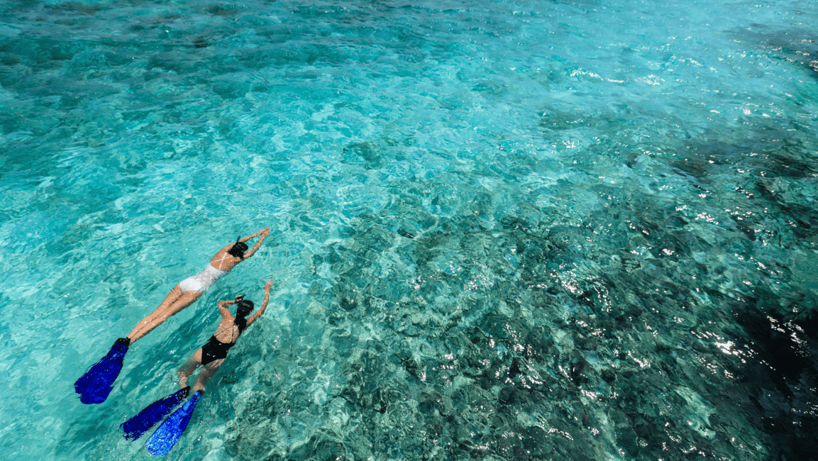 image n.5 of From Dubai: Snorkeling Trip to Dibba Al-Fujairah activity in Dubai, uploaded by supplier