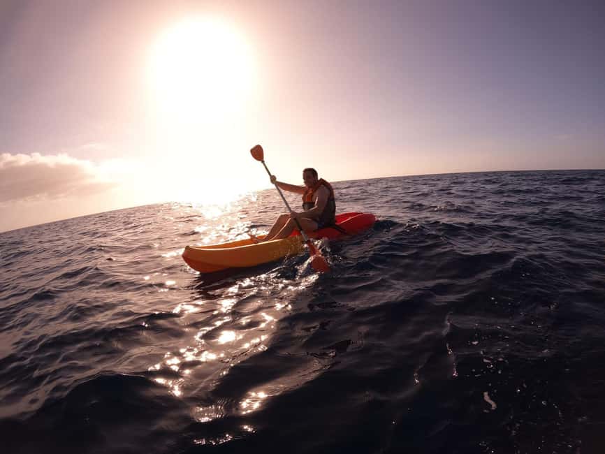 image n.15 of Tenerife: Kayak & Snorkel Tour with Snacks & Sea Life Safari activity in Telde, uploaded by supplier