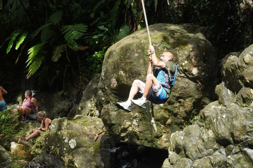billede nr.37 af aktiviteten Fajardo: El Yunque-vandrutschebane, vandfald og rebgyngetur i Río Grande, Puerto Rico, uploadet af udbyder