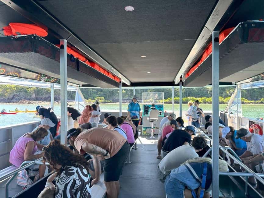 image n.18 of Airlie Beach: Glass-Bottom Boat Tour activity in Shute Harbour, uploaded by supplier