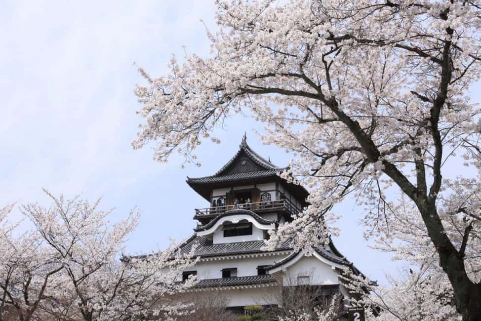 image n.9 of From Nagoya: Samurai Swords and Japan's Oldest Castle activity in Aichi Prefecture, uploaded by supplier