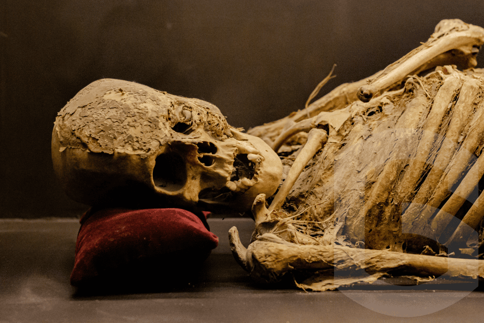 image n.10 of Museums and Mines of Guanajuato Private Tour activity in Guanajuato City, uploaded by supplier