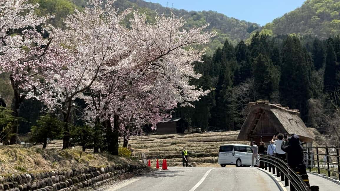 サプライヤーによってアップロードされた、高山の金沢/高山発：白川郷＆高山日帰りツアーの画像#29
