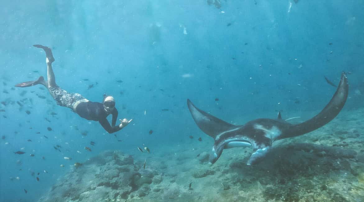 image n.8 of Nusa Penida Island: Manta Point Snorkeling & West Coast Tour activity in Batoemadeg, uploaded by supplier