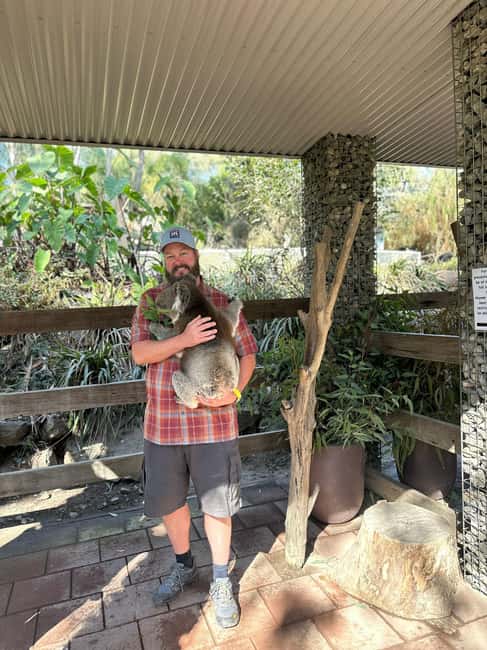imagen n.º 2 de Desde Adelaida: Abraza a un Koala y Visita Histórica a Hahndorf actividad en Adelaida, subida por el proveedor